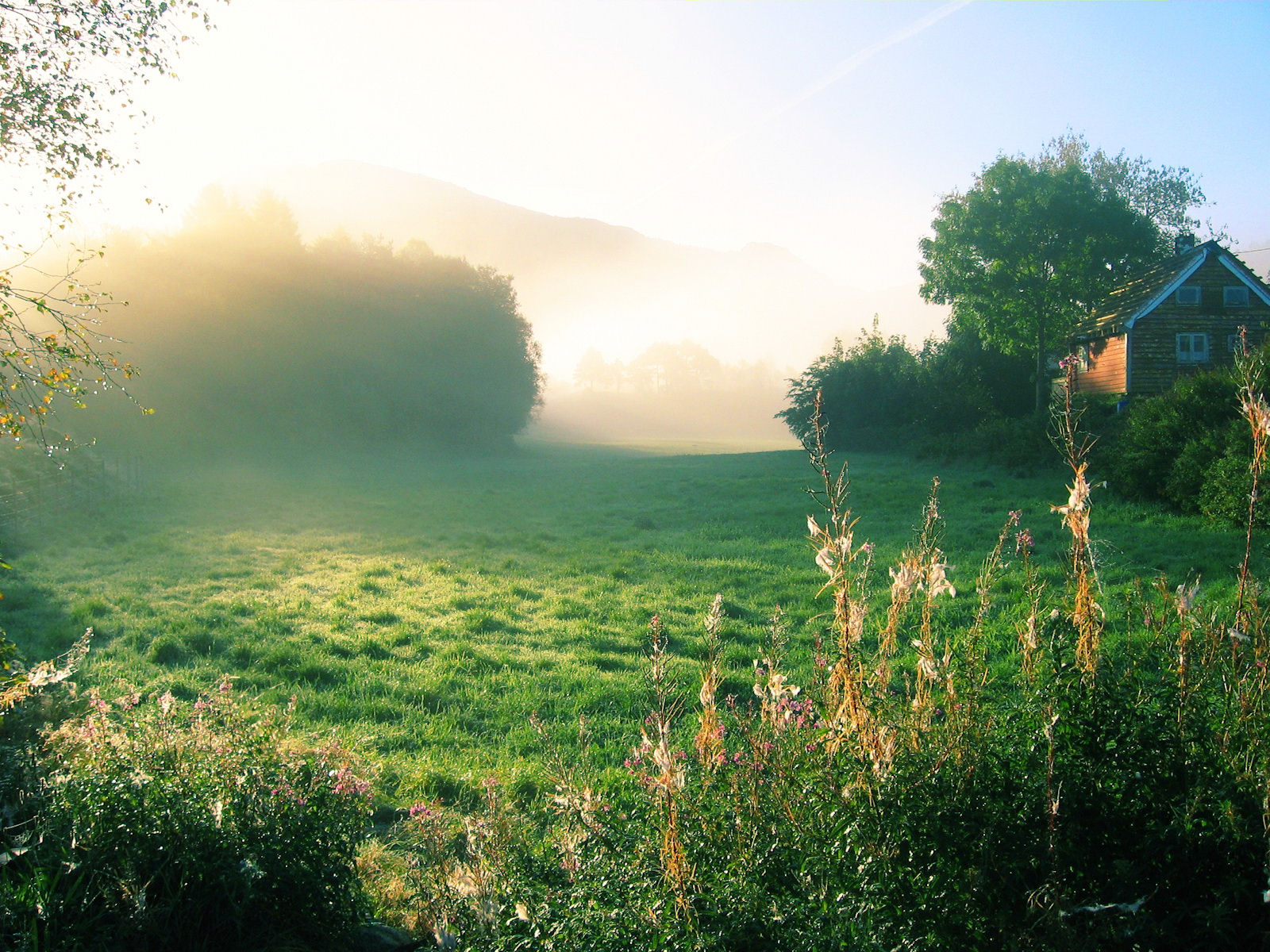 Nature (28).jpg